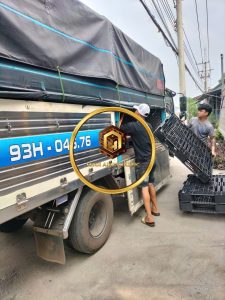 pallet nhựa cũ Bình Phước