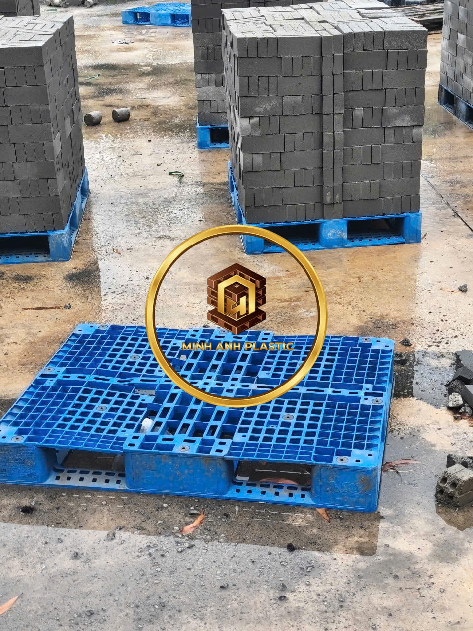 pallet nhựa cũ Ninh Thuận