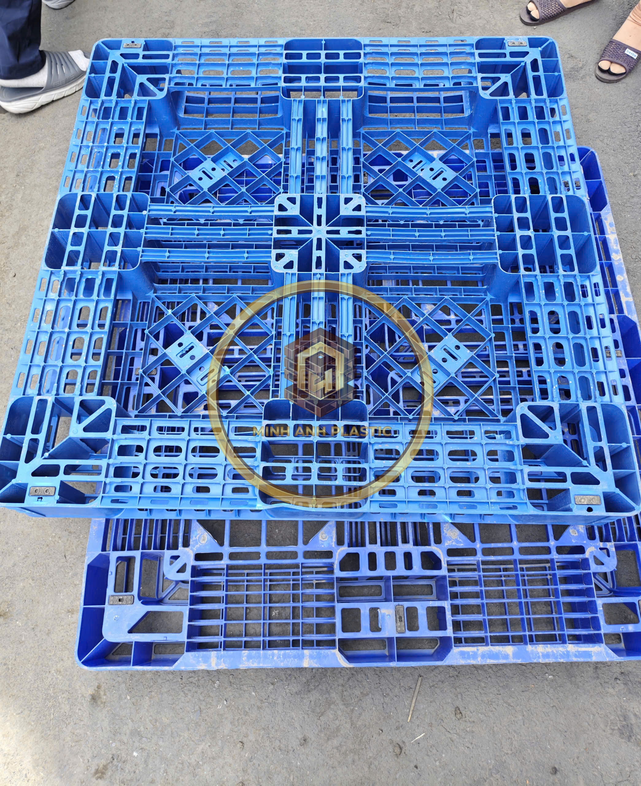 pallet nhựa cũ Bạc Liêu