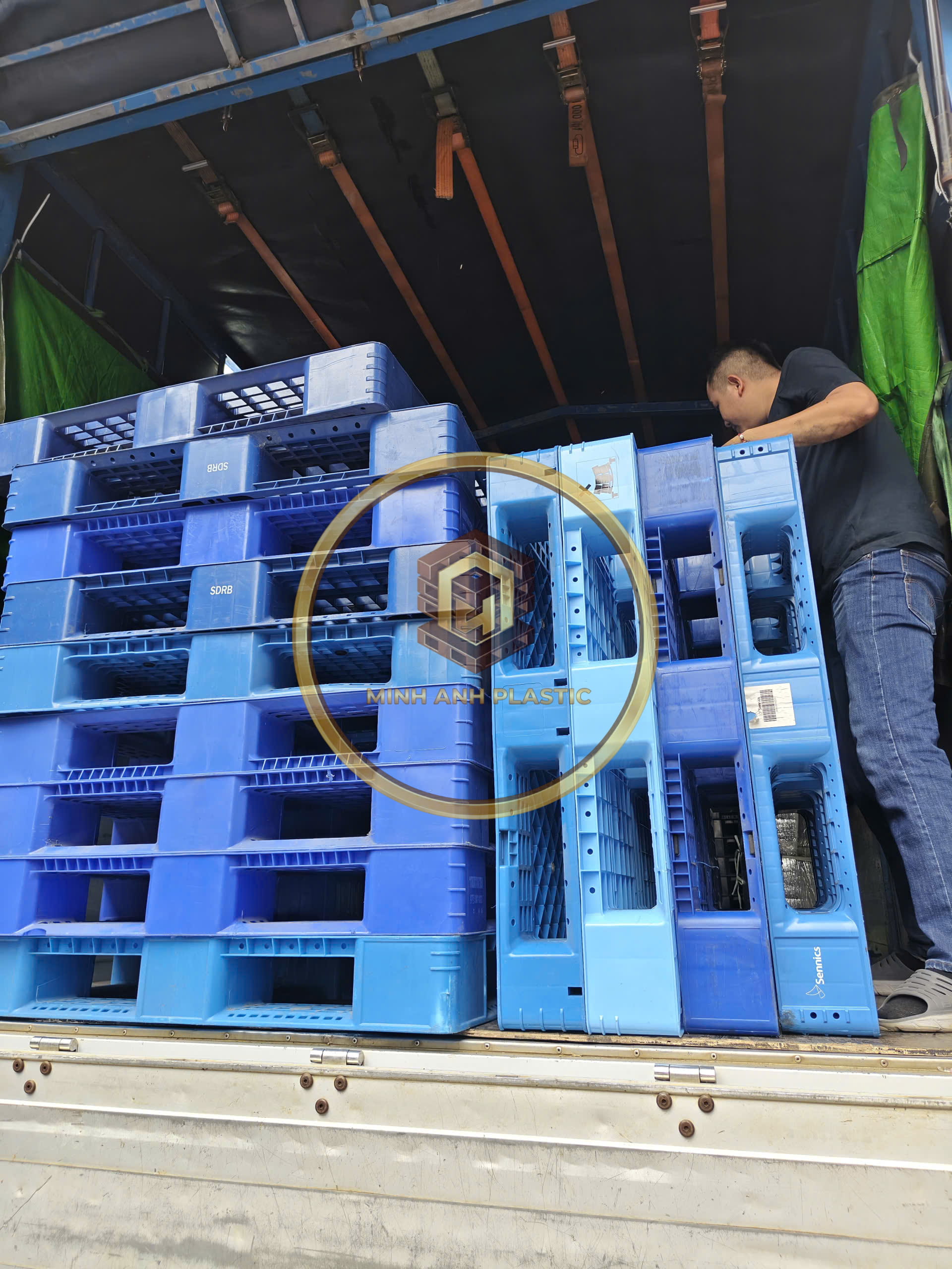 pallet nhựa cũ Tây Ninh