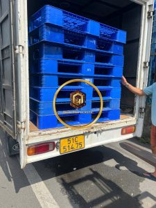 pallet nhựa cũ quận 1