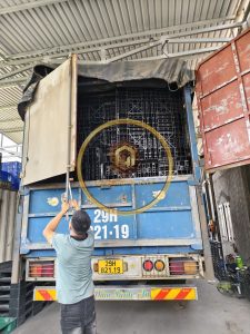pallet nhựa cũ khu công nghiệp Đông Nam